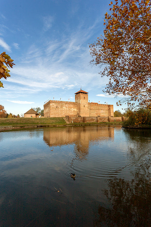 Gyula