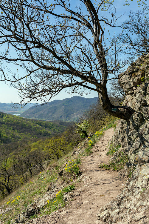 Spartacus trail in the Visegrád Mountains