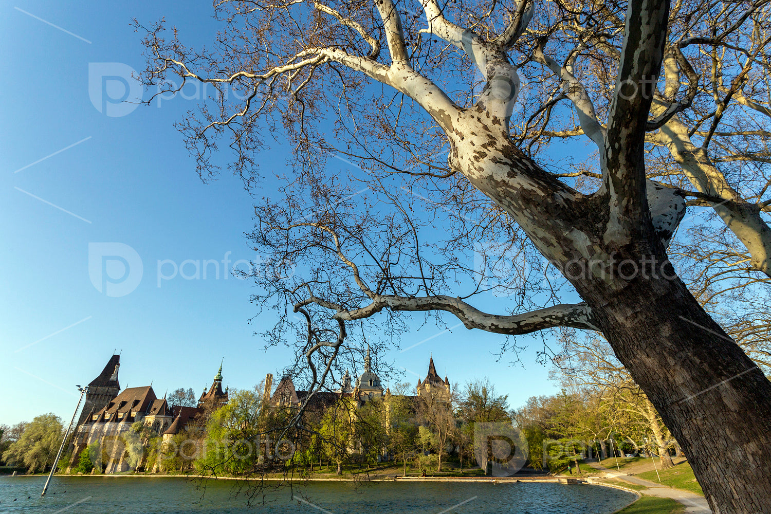 Vajdahunyad Castle in the City Park of Budapest