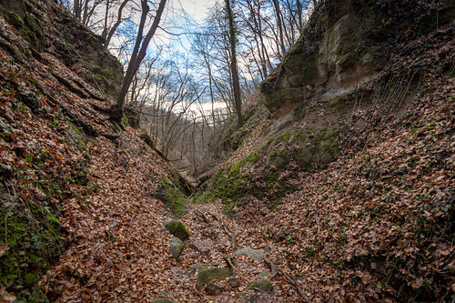 The Moonlight valley in the Visegrád Mountains