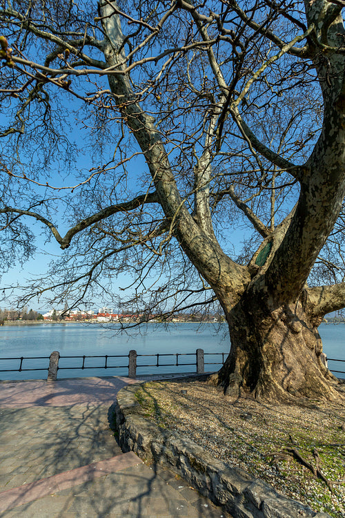 The old lake in Tata, Hungary with the statue of Saint John.