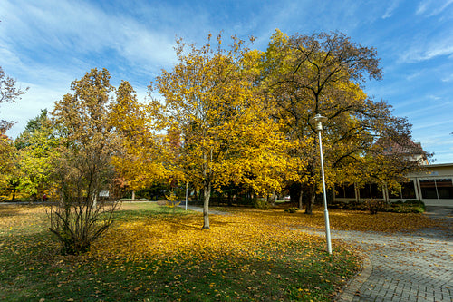 Autumn in Gyula on an sunny day