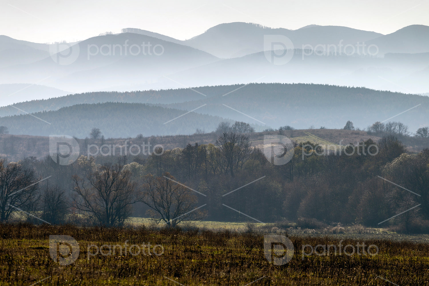 Winter landscape in the Zemplén mountains