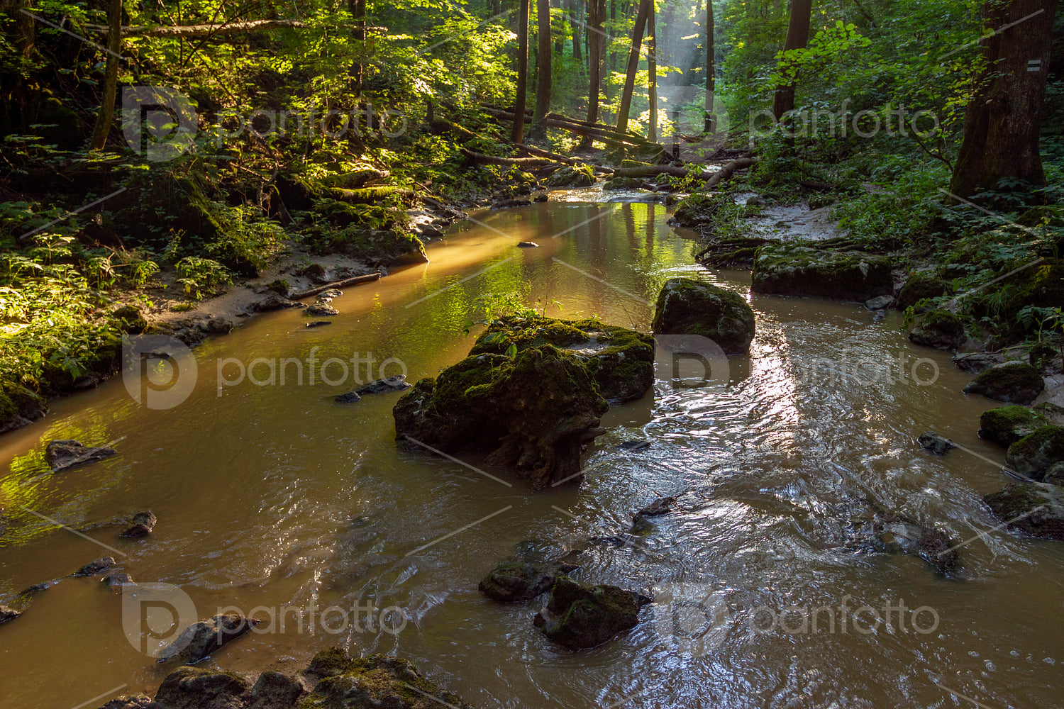 Gerence creek