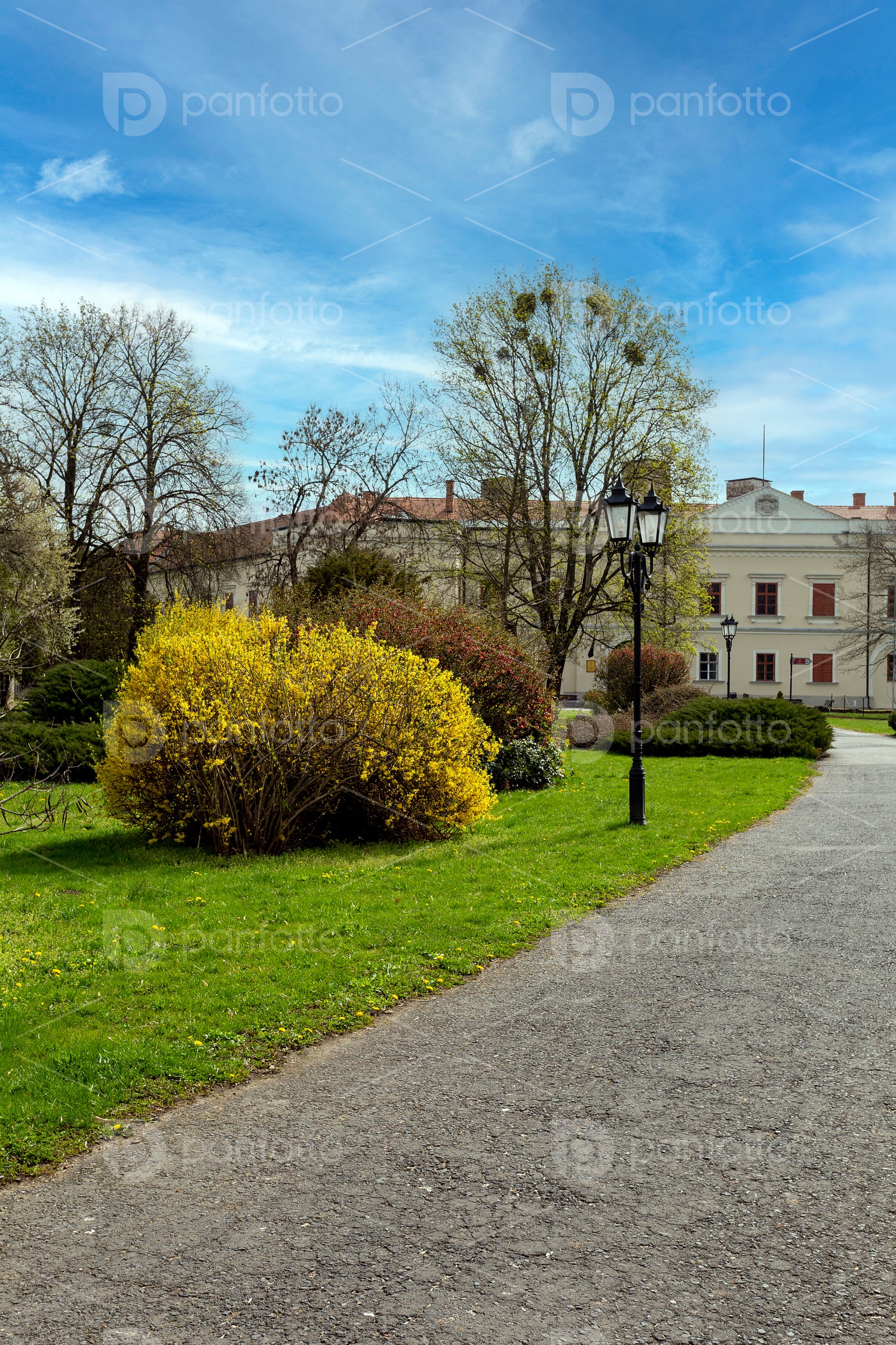 Castle of Sárospatak