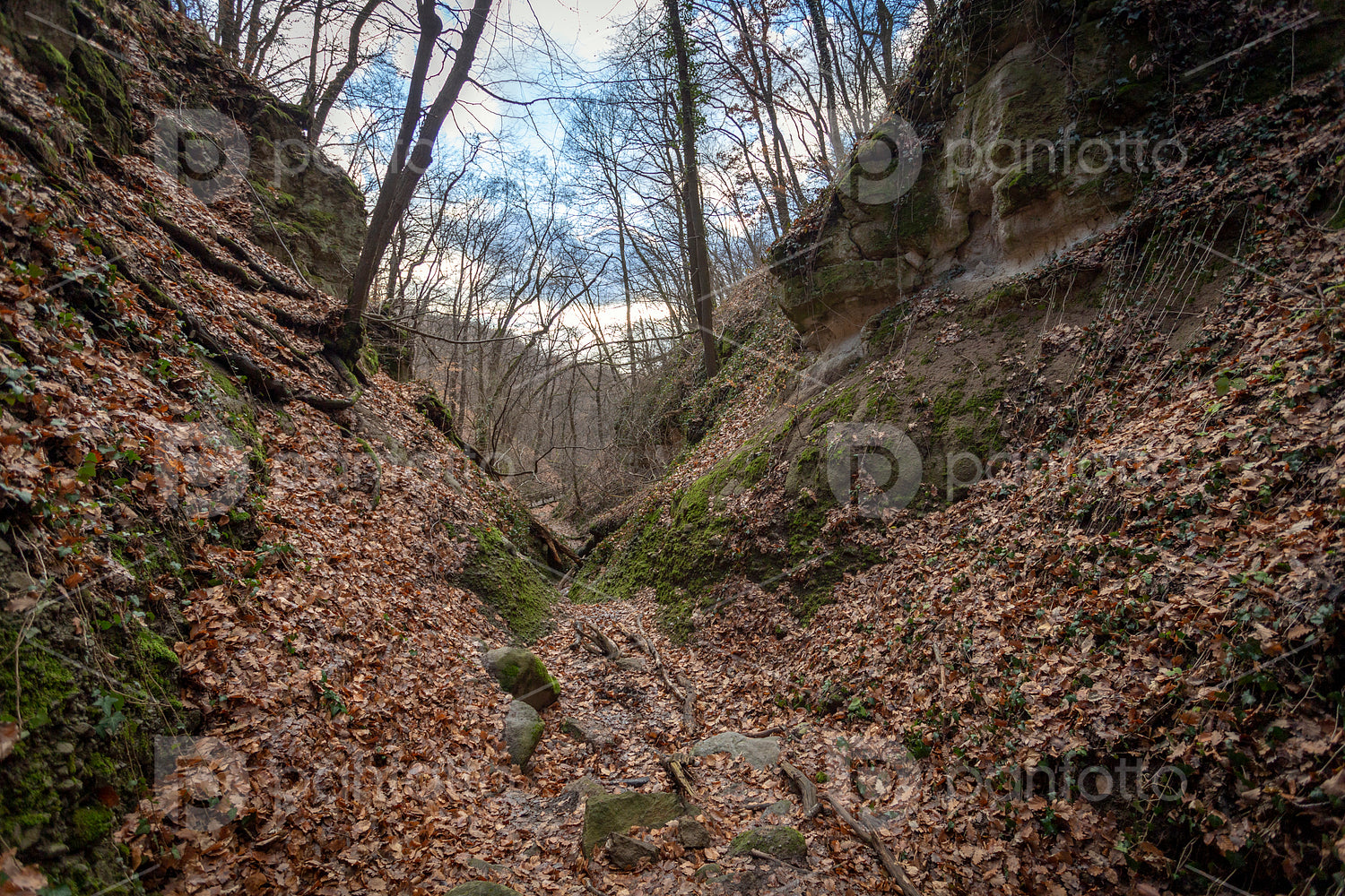 The Moonlight valley in the Visegrád Mountains