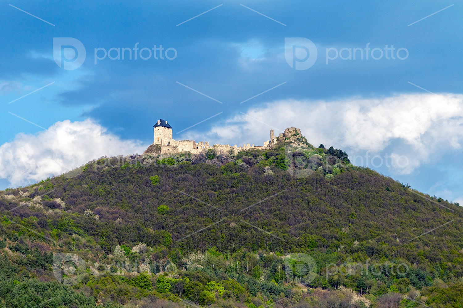 Castle of Regéc