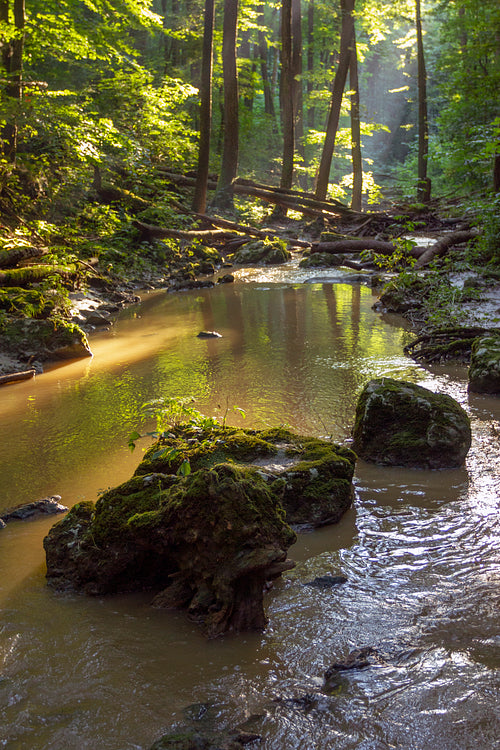 Gerence creek