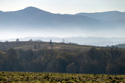 Winter landscape in the Zemplén mountains