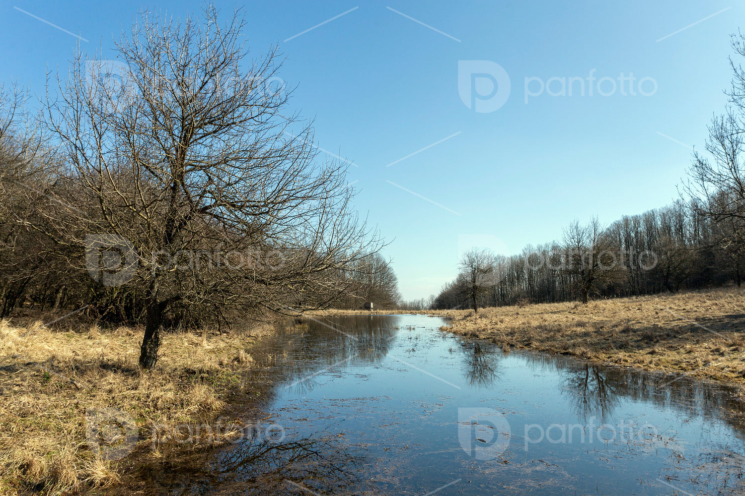 Small pond on the Nagy-Sas-hegy in the Börzsöny