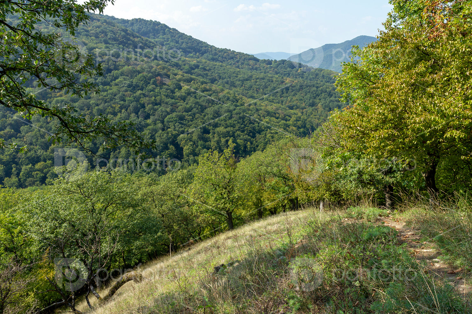 Spartacus trail in summer