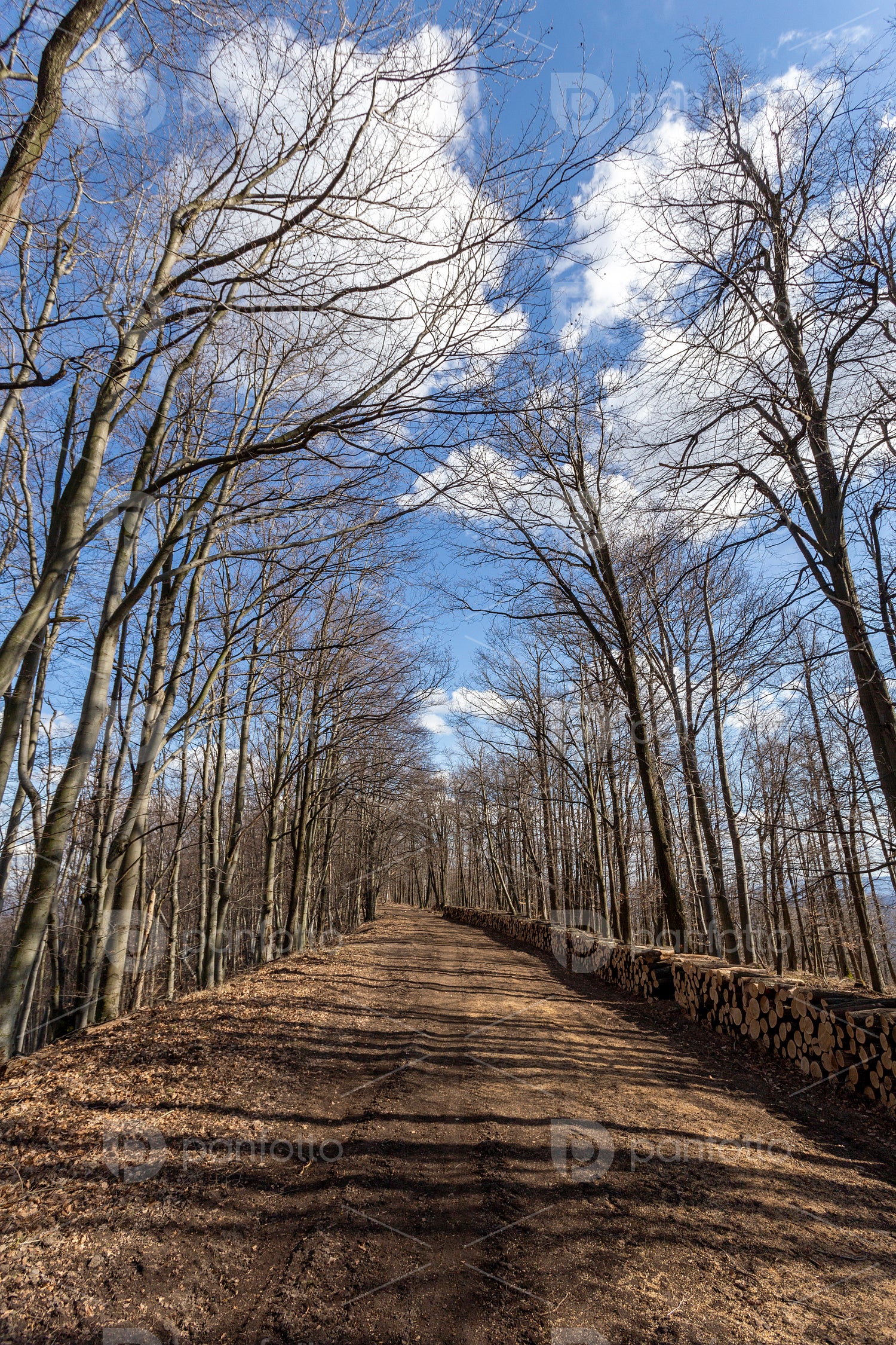 Hiking trail on the Nagy-Hideg-hegy in the Börzsöny