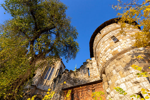 Vajdahunyad Castle in Budapest