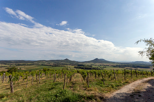 Ruins of the castle of Csobánc