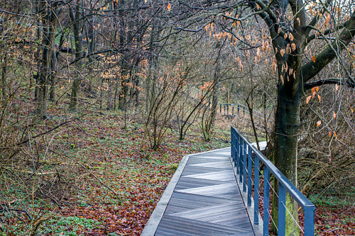 Wood pathwalk in Somogyvár