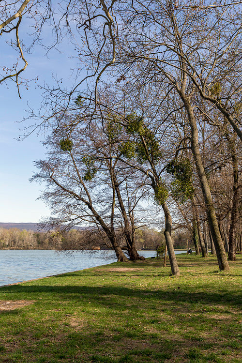 Cseke lake at the English garden in Tata