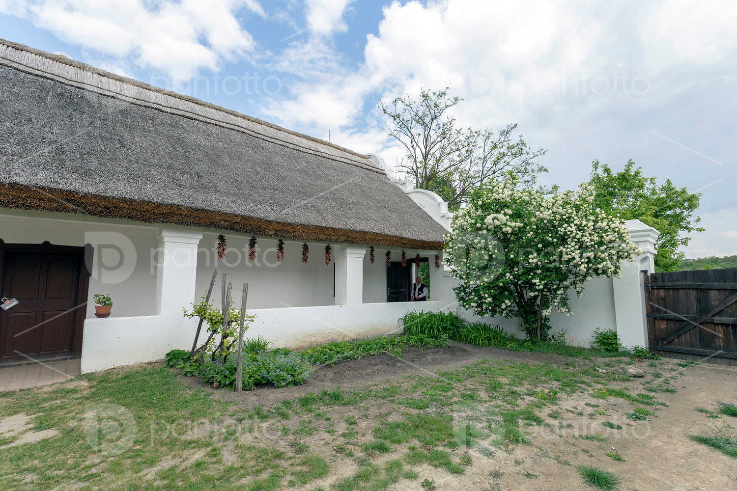 Traditional cottage house of Sükősd
