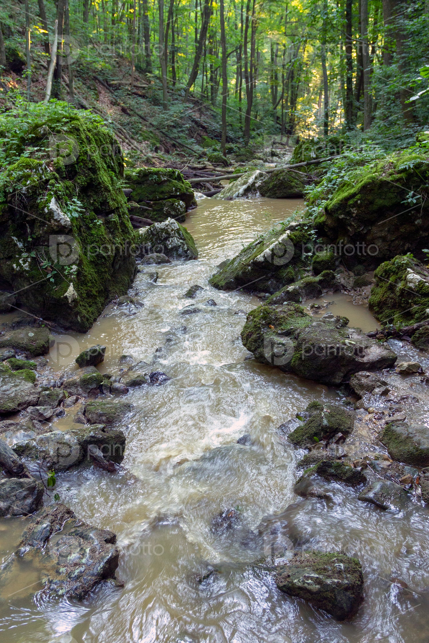Gerence creek
