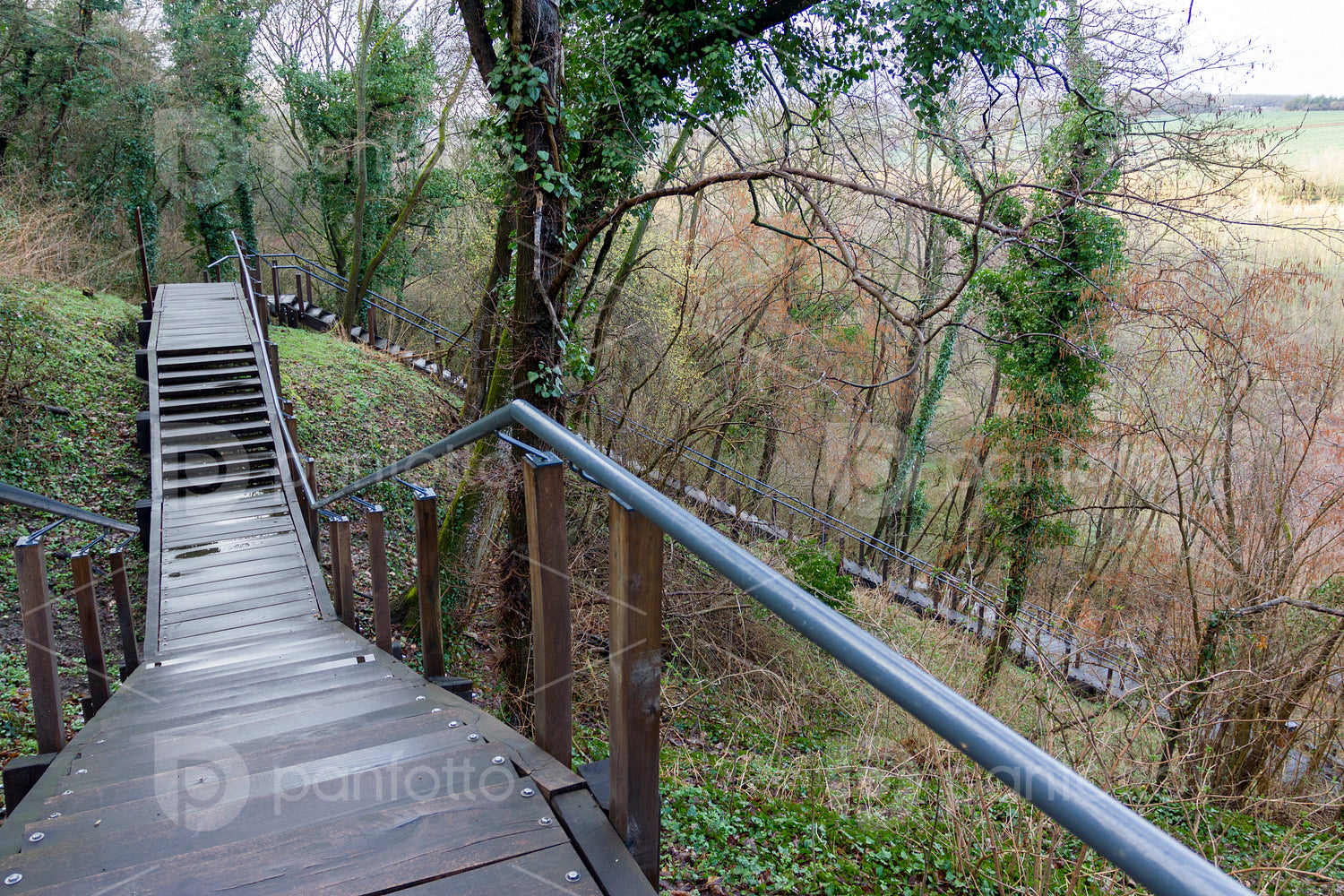 Wood pathwalk in Somogyvár