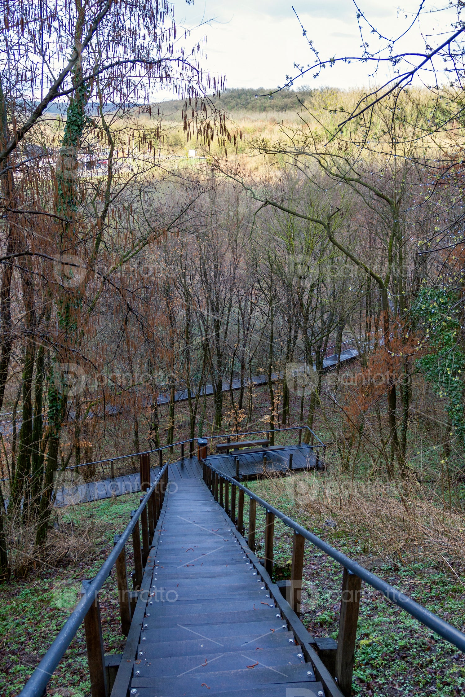 Wood pathwalk in Somogyvár