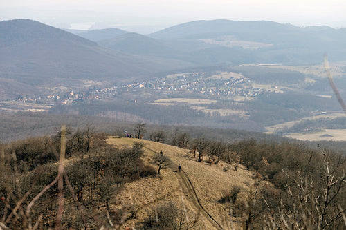 Hiking trail on the Nagy-Sas-hegy in the Börzsöny