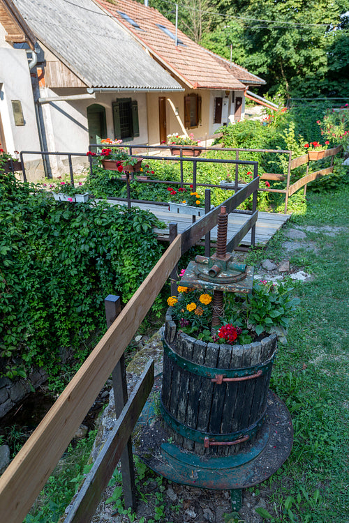 Wine cellars in Zsólyomka valley
