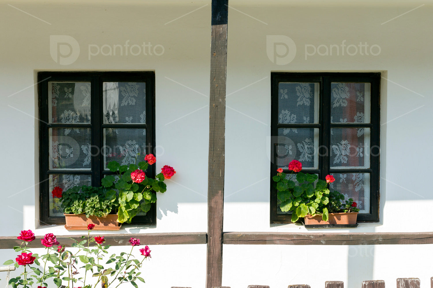 House windows