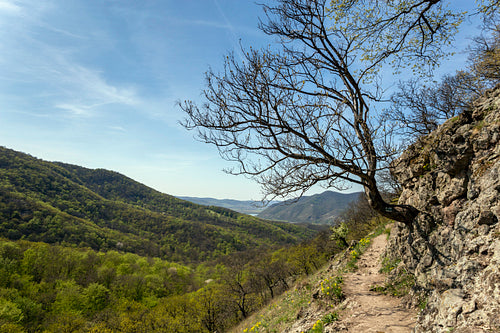 Spartacus trail in the Visegrád Mountains