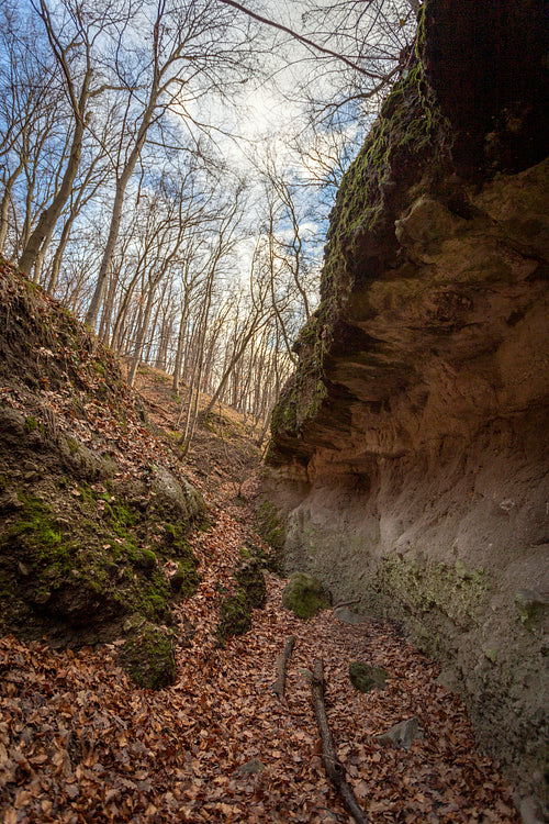 The Moonlight valley in the Visegrád Mountains