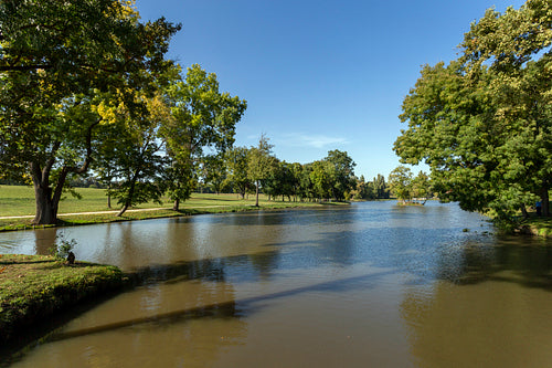 English garden of the Festetics Mansion in Dég