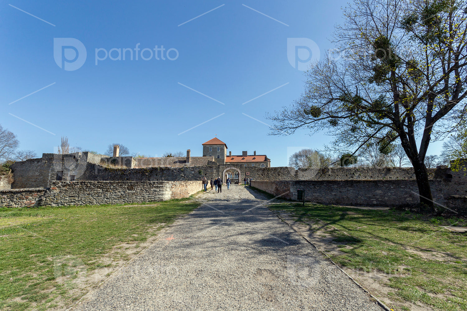 Castle of Tata on a sunny day