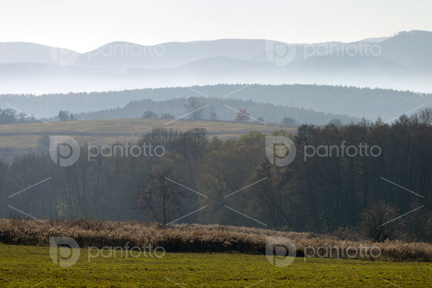 Winter landscape in the Zemplén mountains