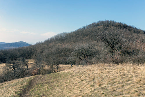 View from the Nagy-Sas-hegy in the Börzsöny