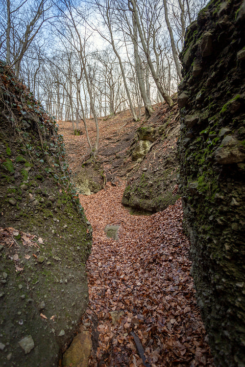 The Moonlight valley in the Visegrád Mountains