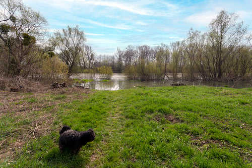 Bodrog river at Sárospatak