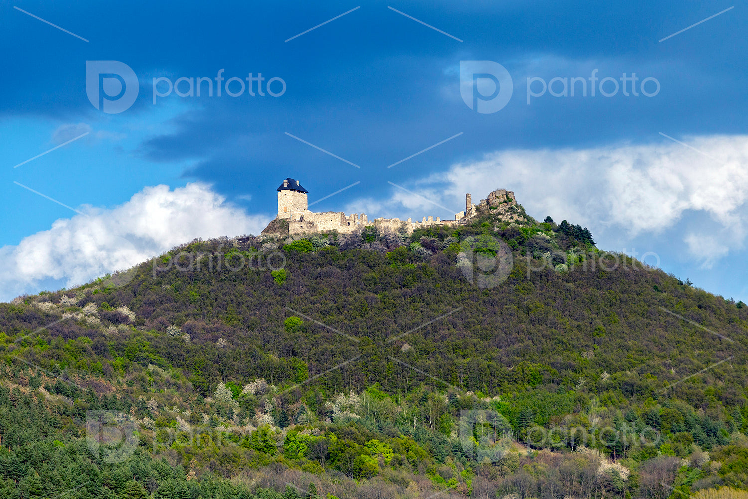 Castle of Regéc