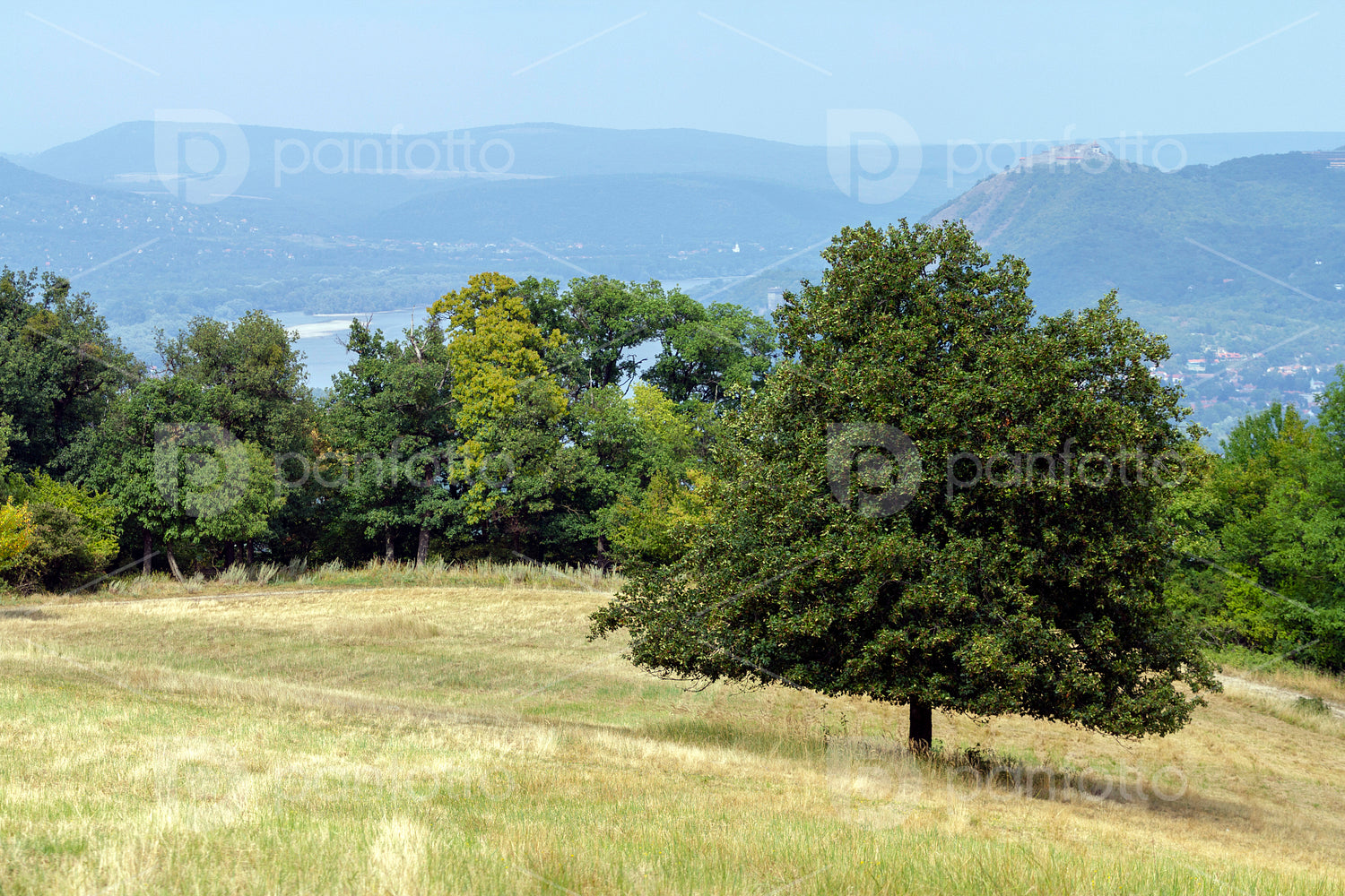 Meadow in the Pilis mountain