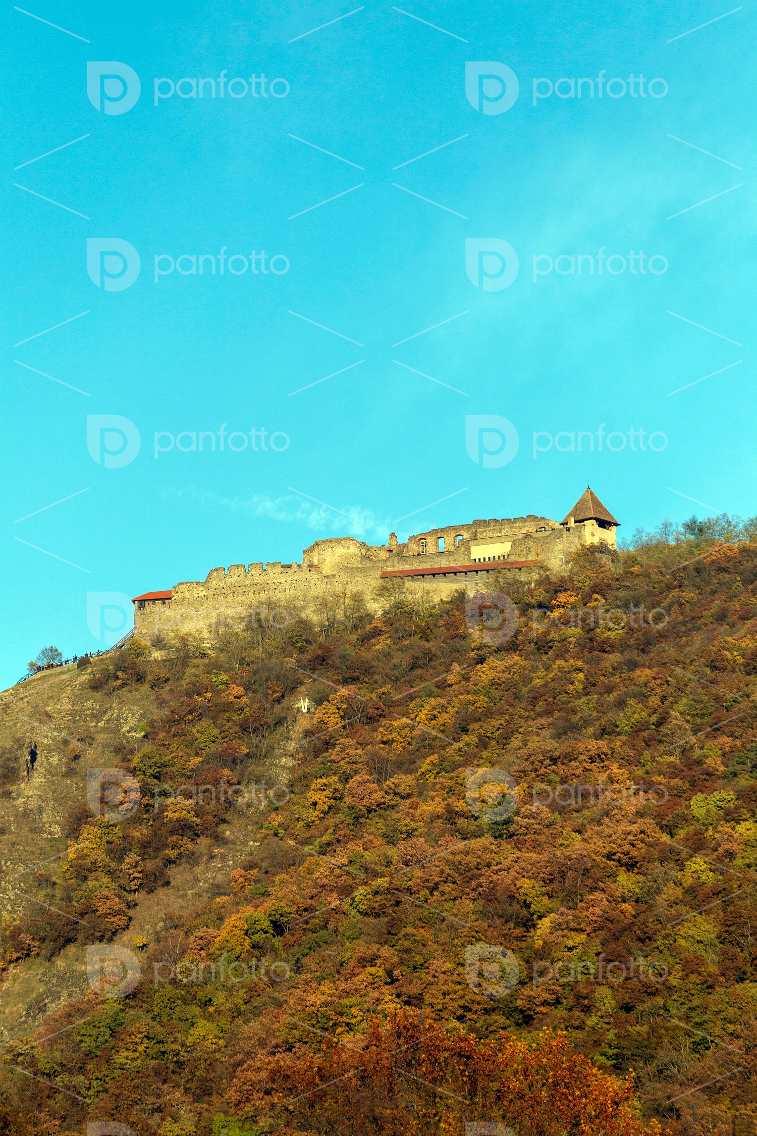The Citadel castle of Visegrád