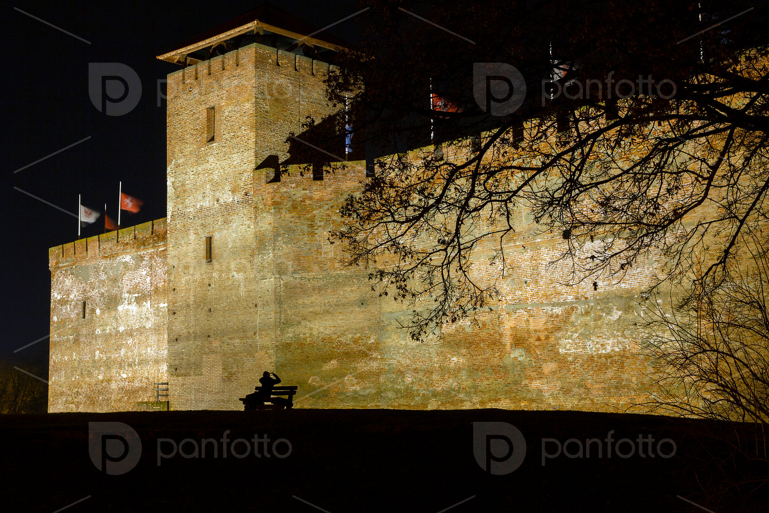 Gyula Castle in Gyula on a winter night