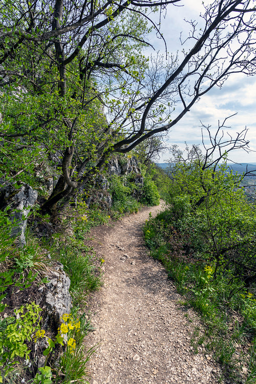 Hiking trail in the Gerecse mountains
