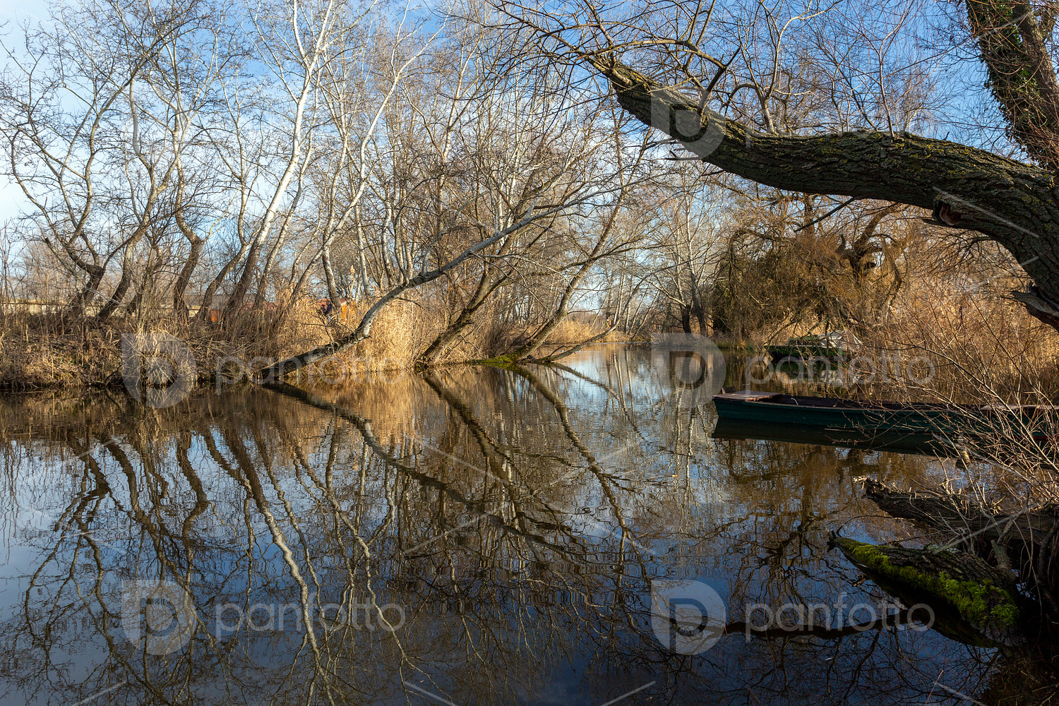 The river Danube at Szigetcsép