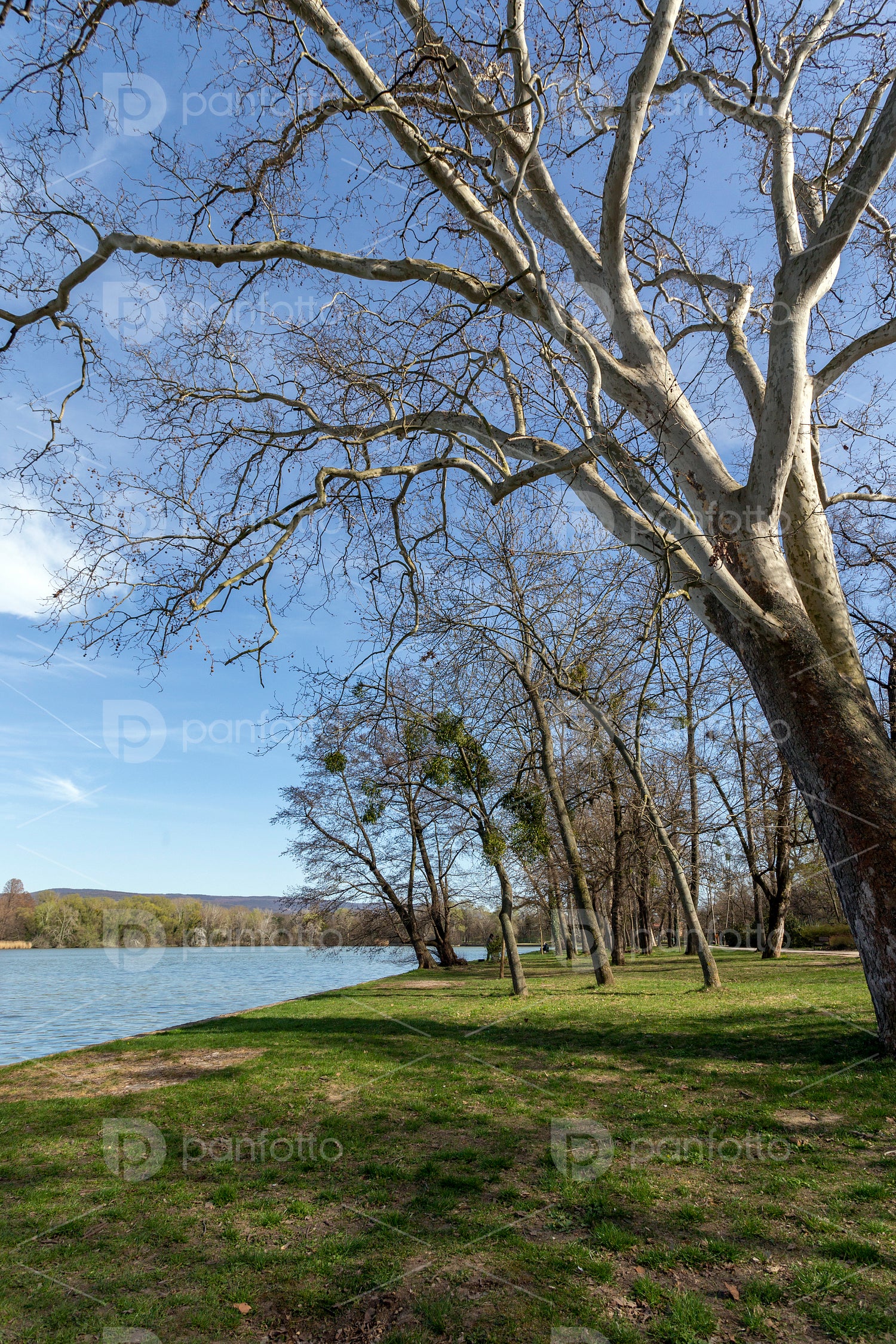 Cseke lake at the English garden in Tata