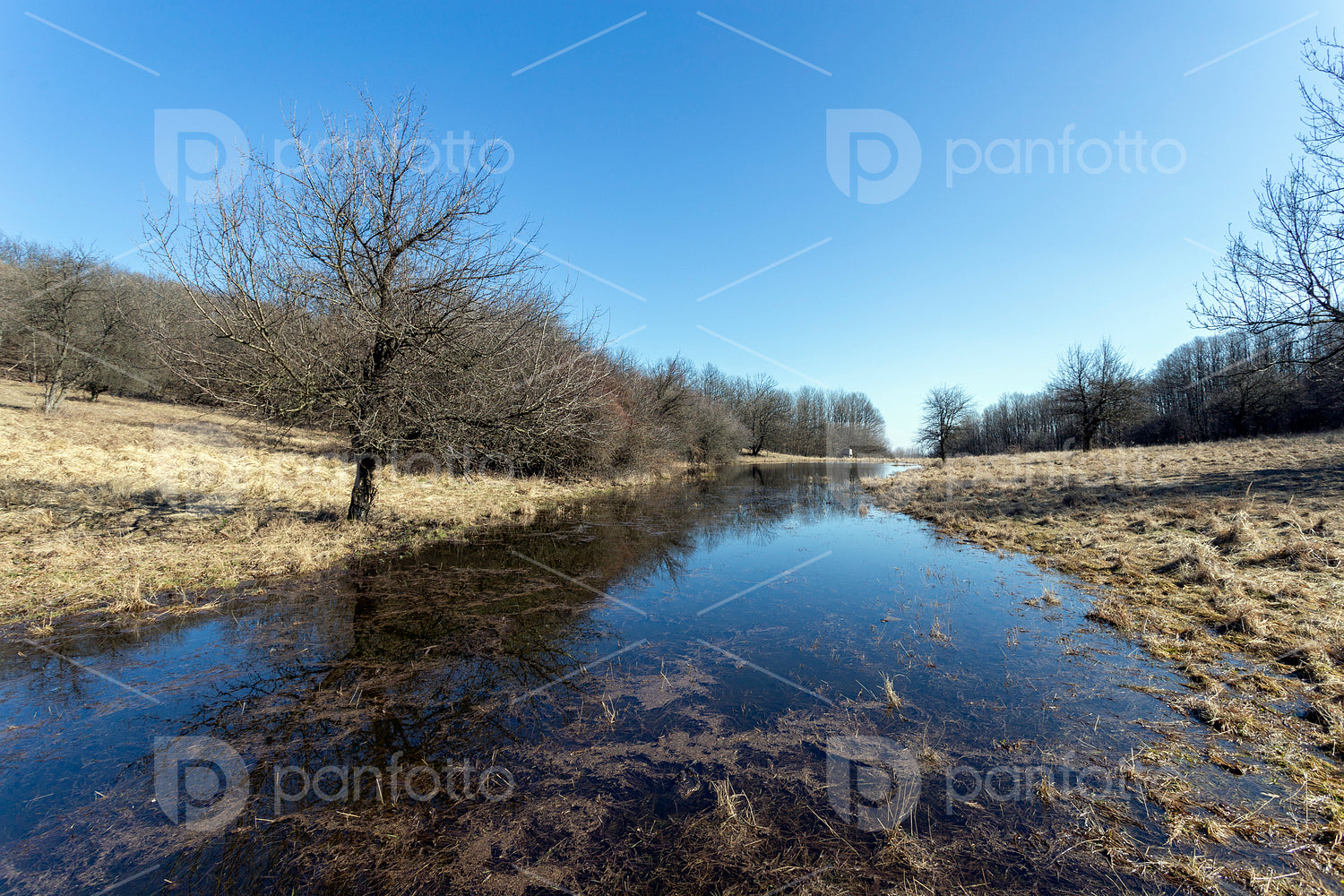 Small pond on the Nagy-Sas-hegy in the Börzsöny