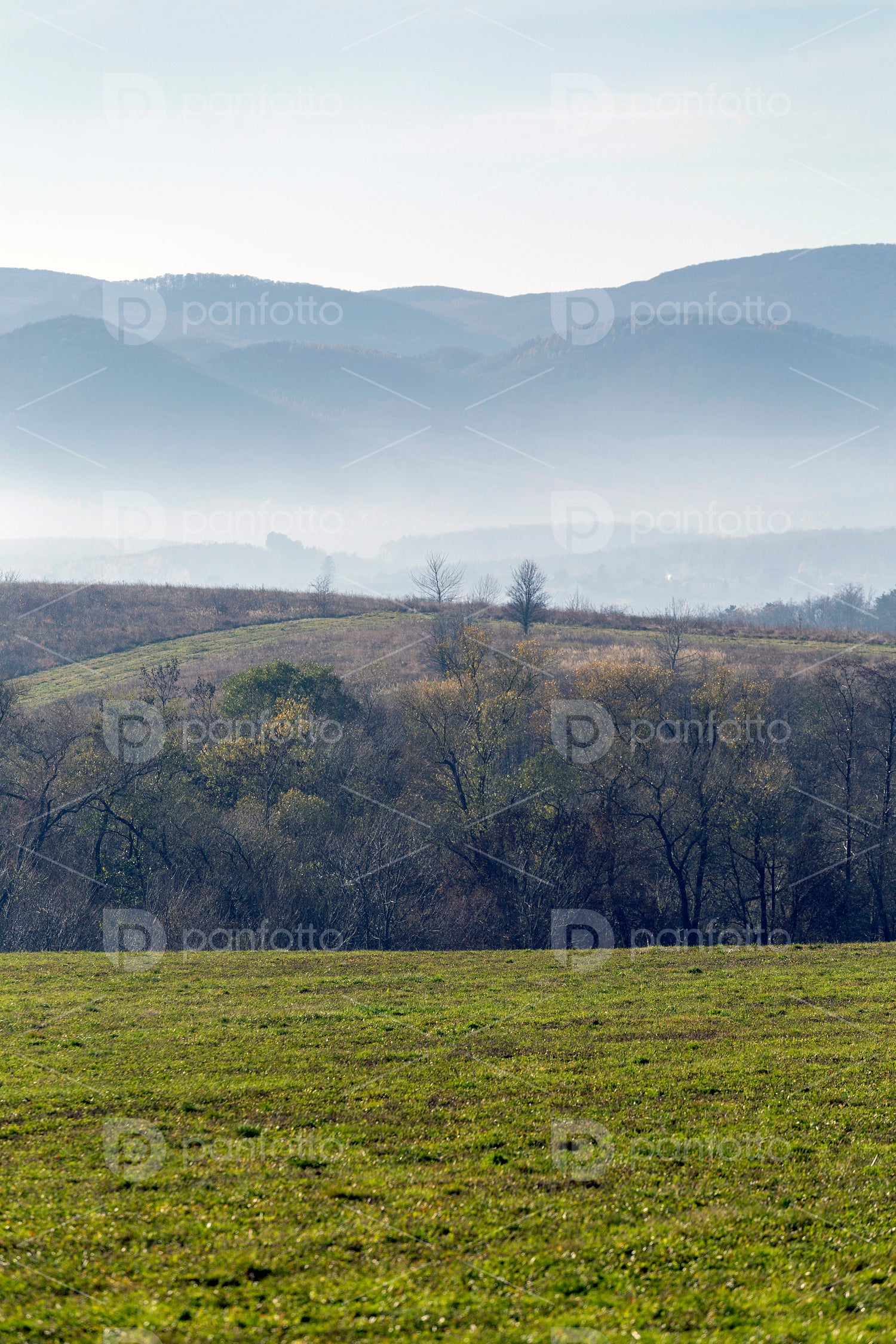 Winter landscape in the Zemplén mountains