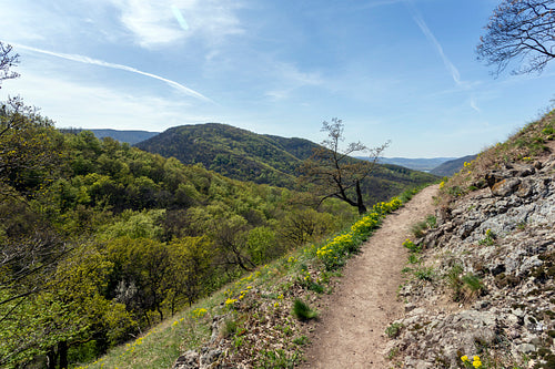 Spartacus trail in the Visegrád Mountains