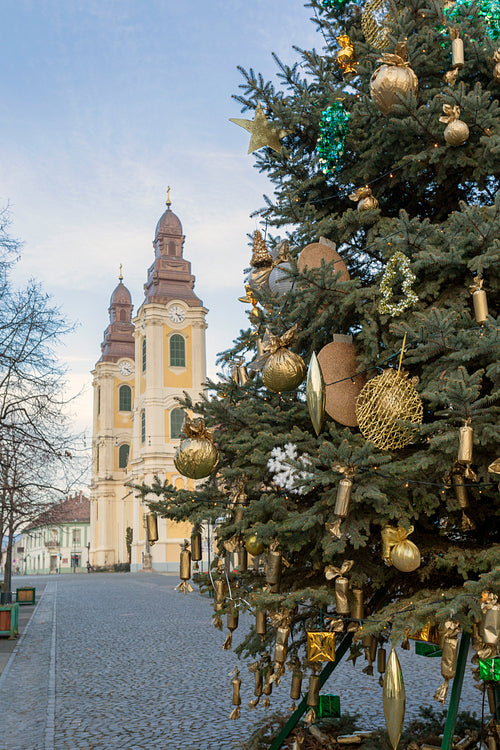 Christmas tree in the main square of Gyongyos