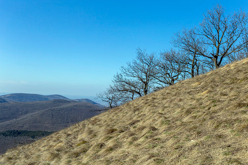 View from the Nagy-Sas-hegy in the Börzsöny