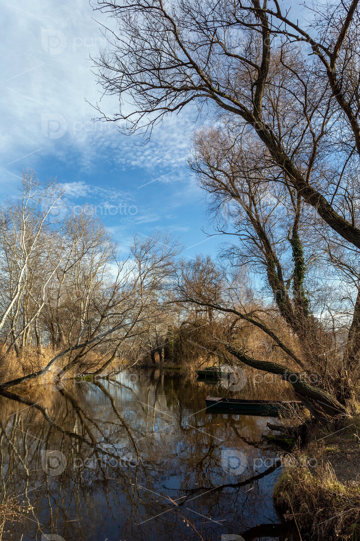 The river Danube at Szigetcsép