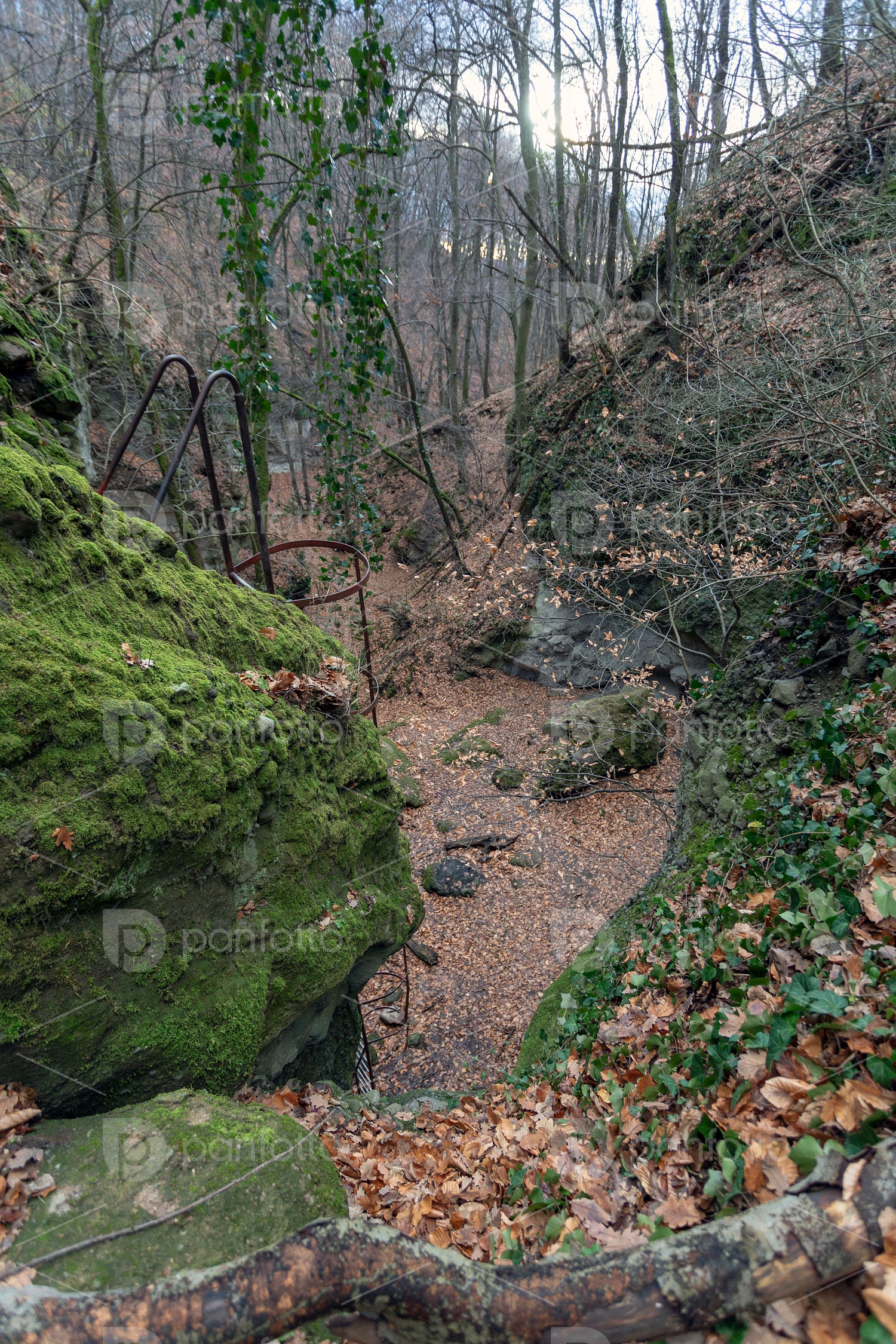 The Moonlight valley in the Visegrád Mountains