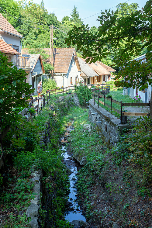 Wine cellars in Zsólyomka valley